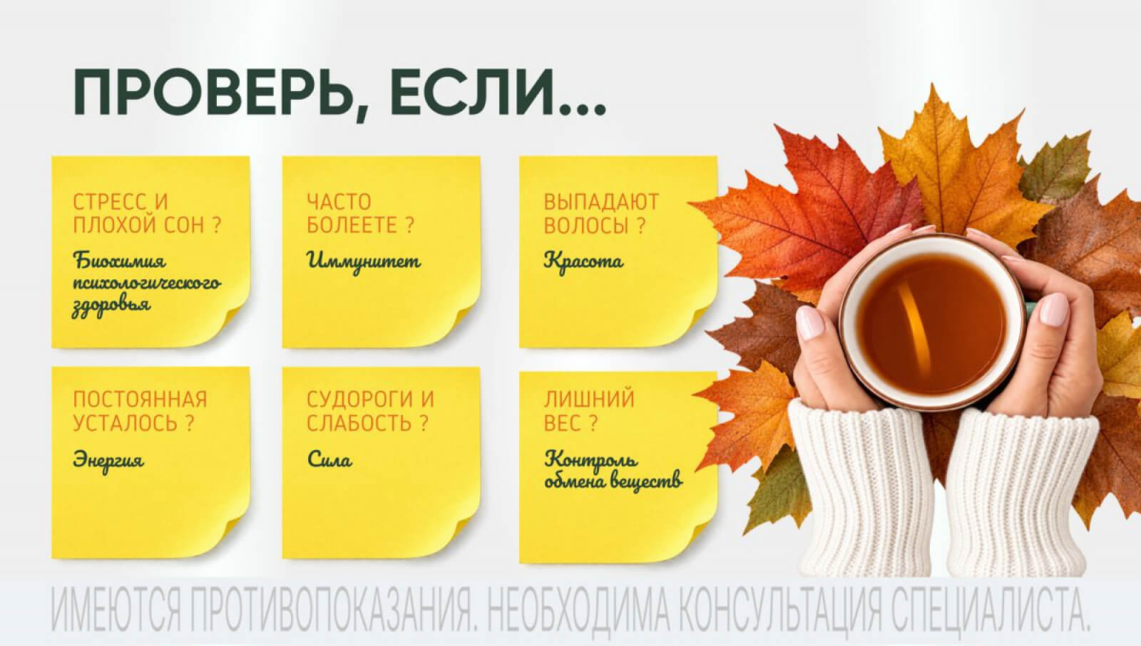 ������� ���� �������, ����: